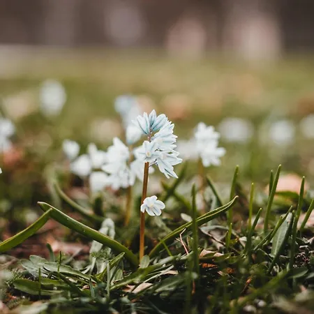 Alte Wassermuehle * Salem