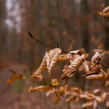 Apartamento Alte Wassermühle Salem (Baden-Wurttemberg)
