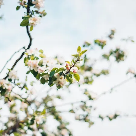 Alte Wassermühle Apartamento Salem (Baden-Wurttemberg)