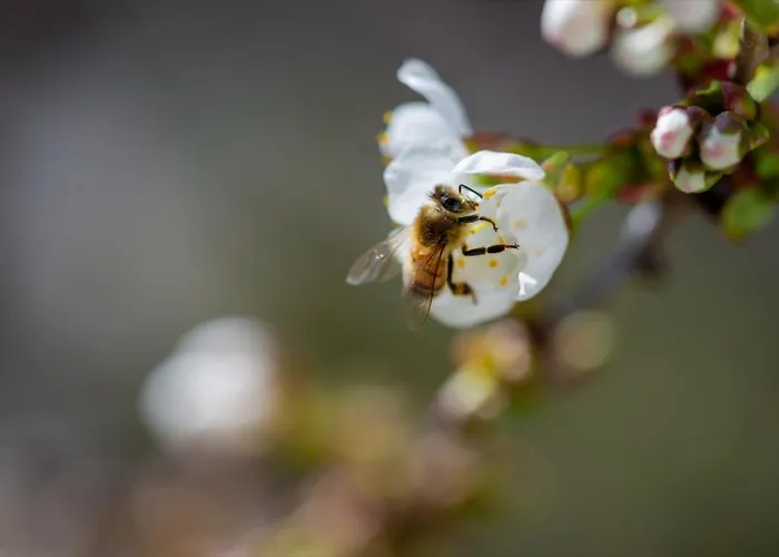 Alte Wassermuhle شقة سالم