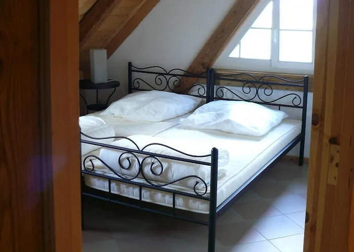 Alte Wassermuhle * سالم