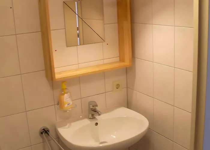 Alte Wassermuhle شقة